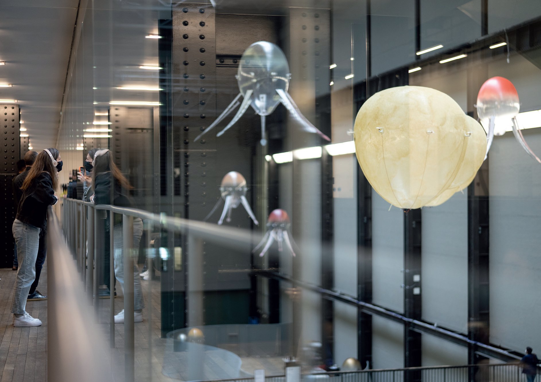 Visitors leaning on an upper-gallery railing watching several aerobes in flight through a glass partition