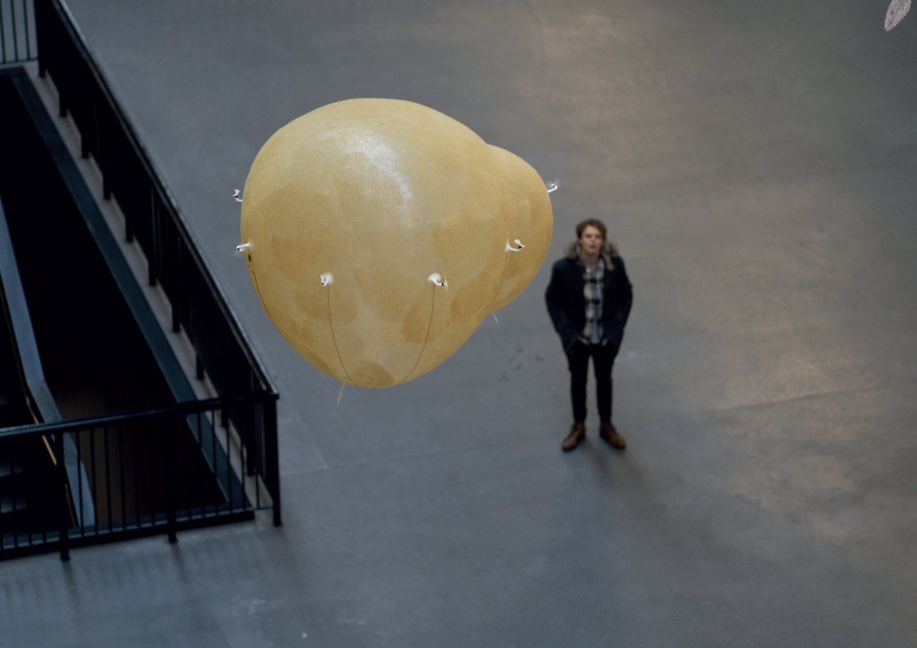 A single planula-form aerobe hovering at human scale, a visitor standing beside it for size reference