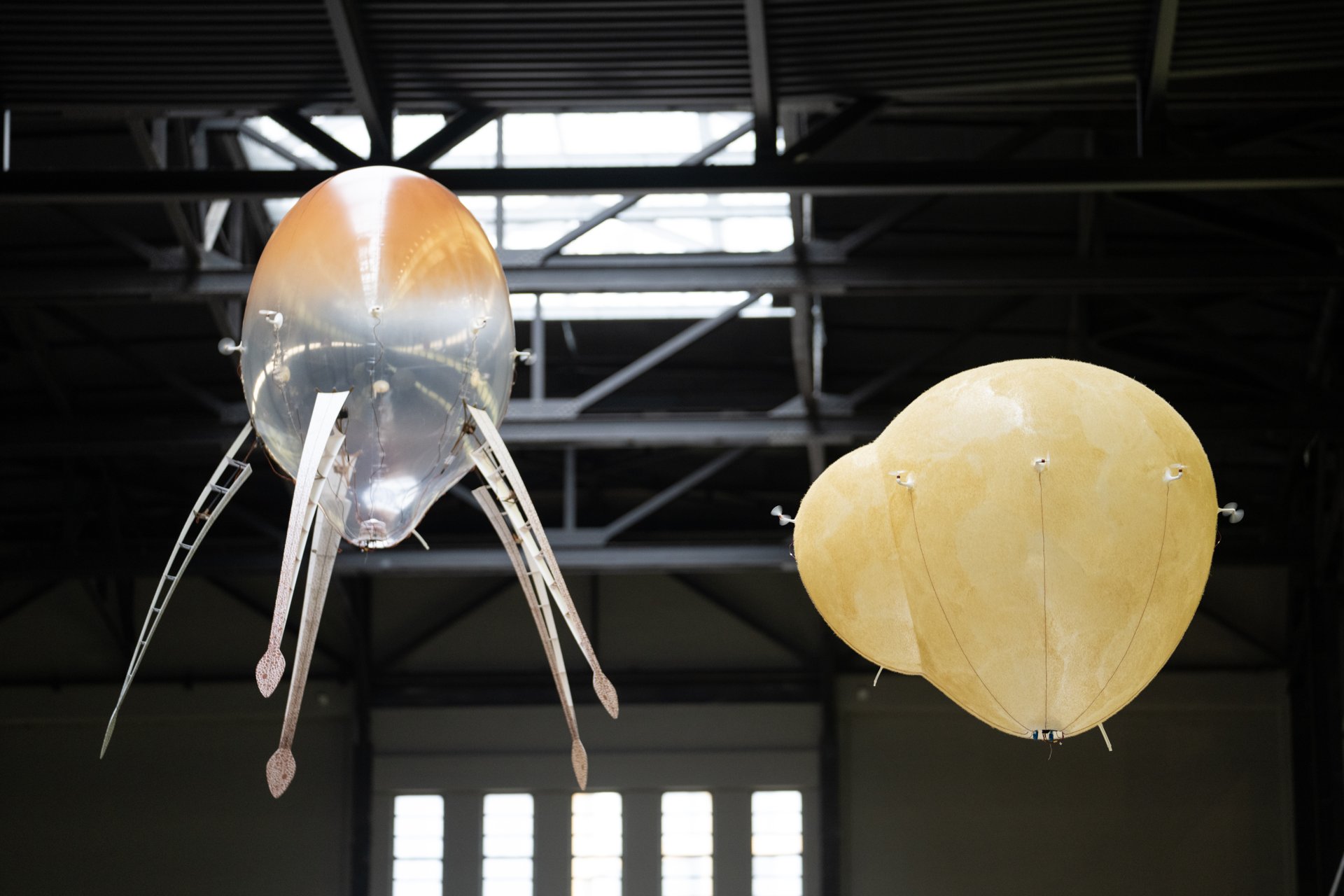 Two aerobes of distinct custom designs in flight -- a metallic tentacled form and a golden lobed form